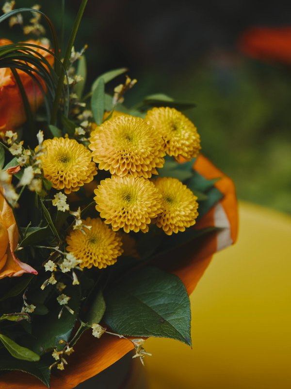 Entrefleuristes : commande et envoi de fleurs fraîches en france